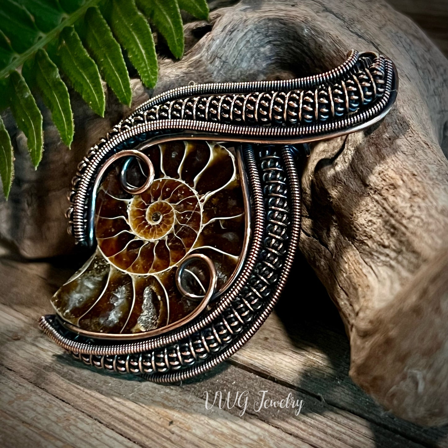 Ammonite Wire Wrap Pendant