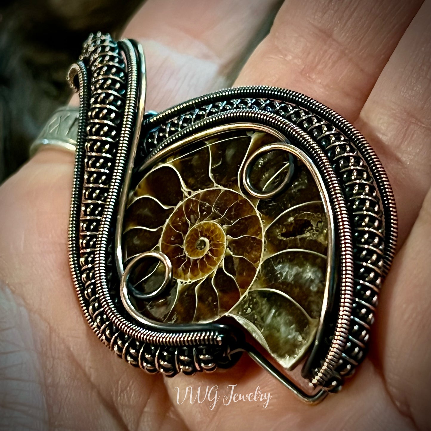 Ammonite Wire Wrap Pendant