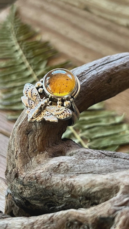 Hawk Moth Amber Sterling Silver Ring Size 7